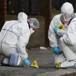 Genetica Forense: Tutto quello che devi sapere