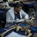 Quali sono i requisiti di formazione per un antropologo forense?