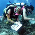 Quanto guadagna un biologo marino?