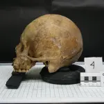 Fare carriera come antropologo forense